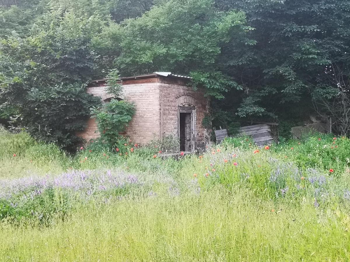 Gaestehaus Am Landgut Schonwalde-Glien Exterior foto