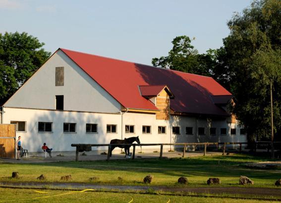 Gaestehaus Am Landgut Schonwalde-Glien Exterior foto